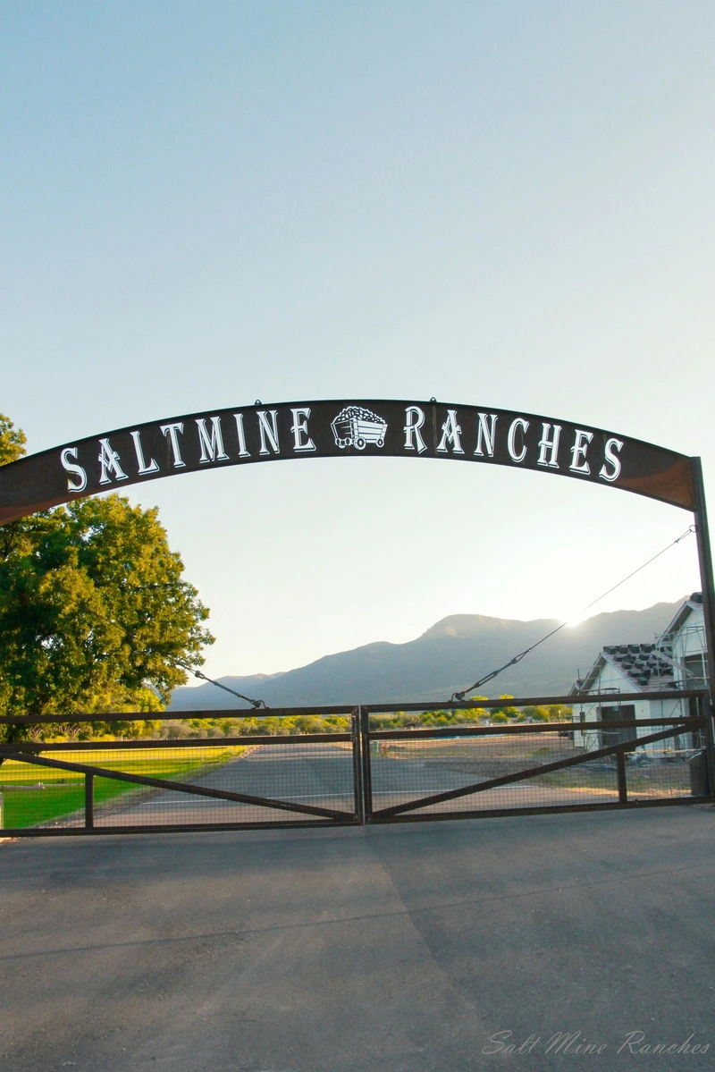 Entrance to salt mine ranches with metal gates