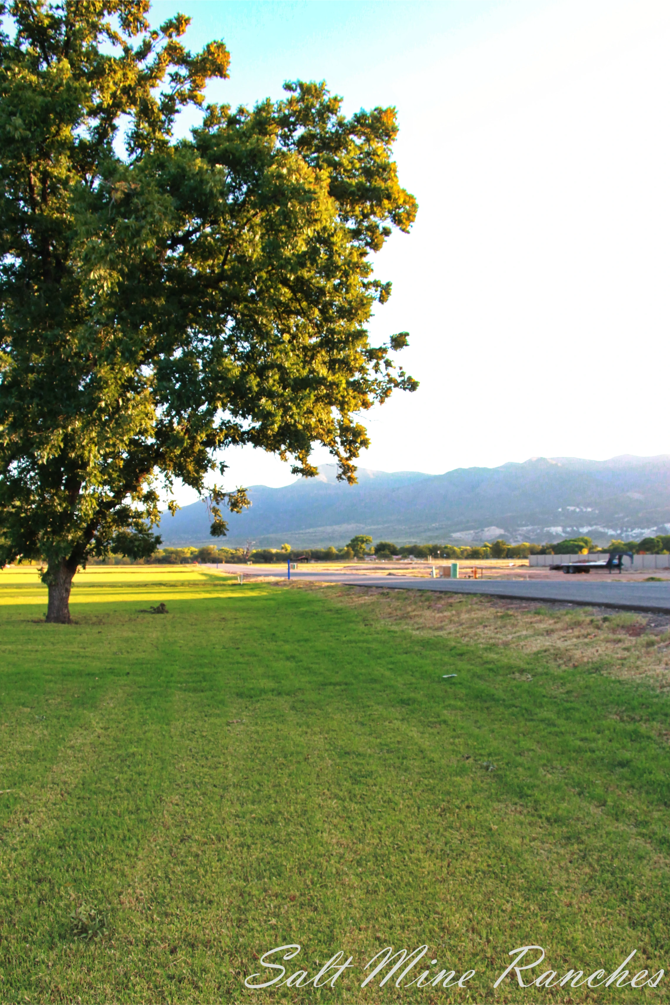 Ground view of saltmine ranches with trees, grass and mountains