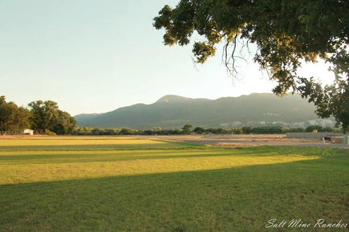 Ground view of salt mine ranches with grass, trees and mountains