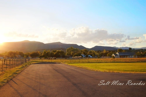 Ground view of salt mine ranches with paved road