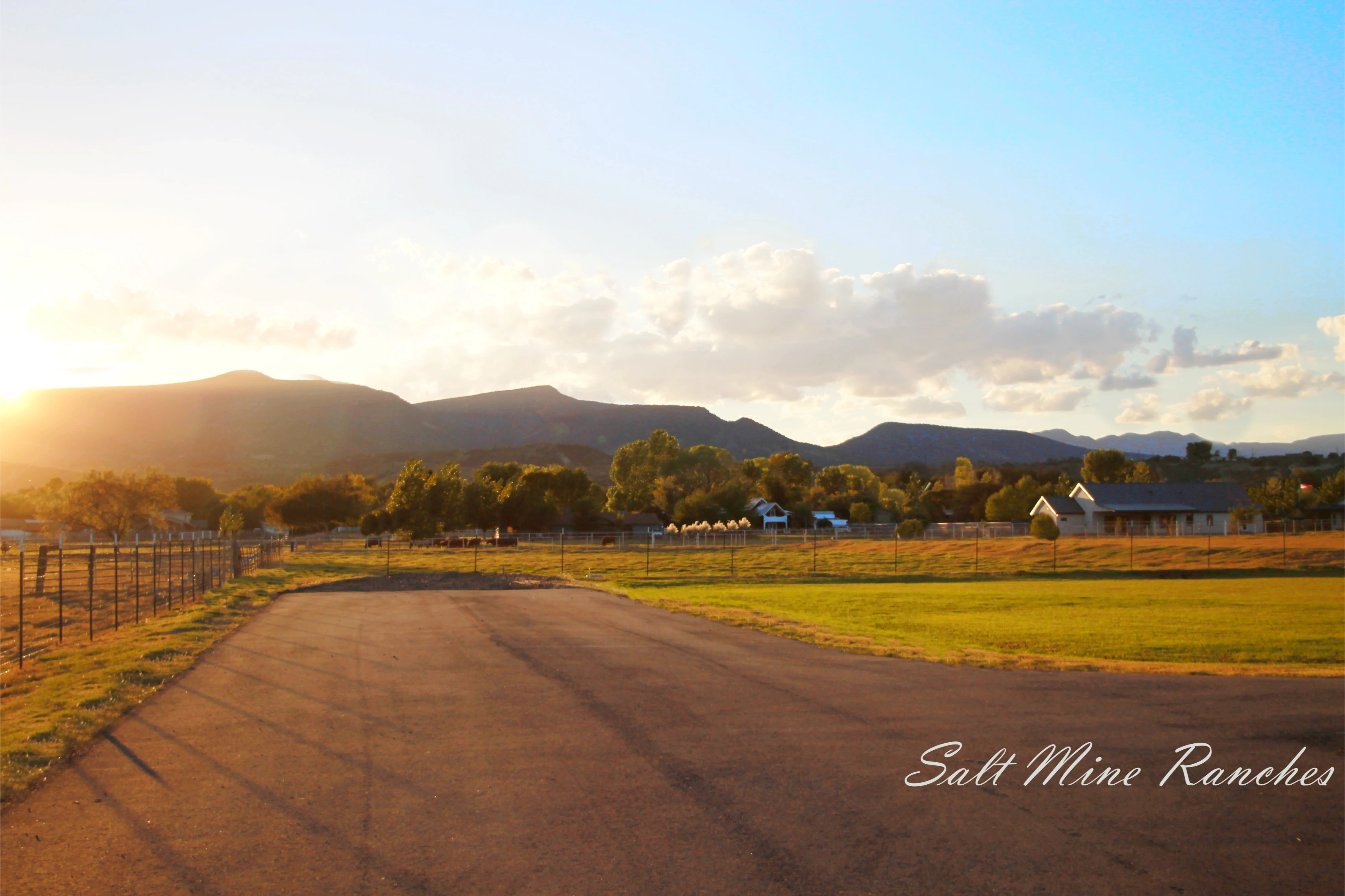 Ground view of saltmine ranches space with paved road
