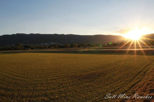 Ground view of salt mine ranches with grass, trees and mountains