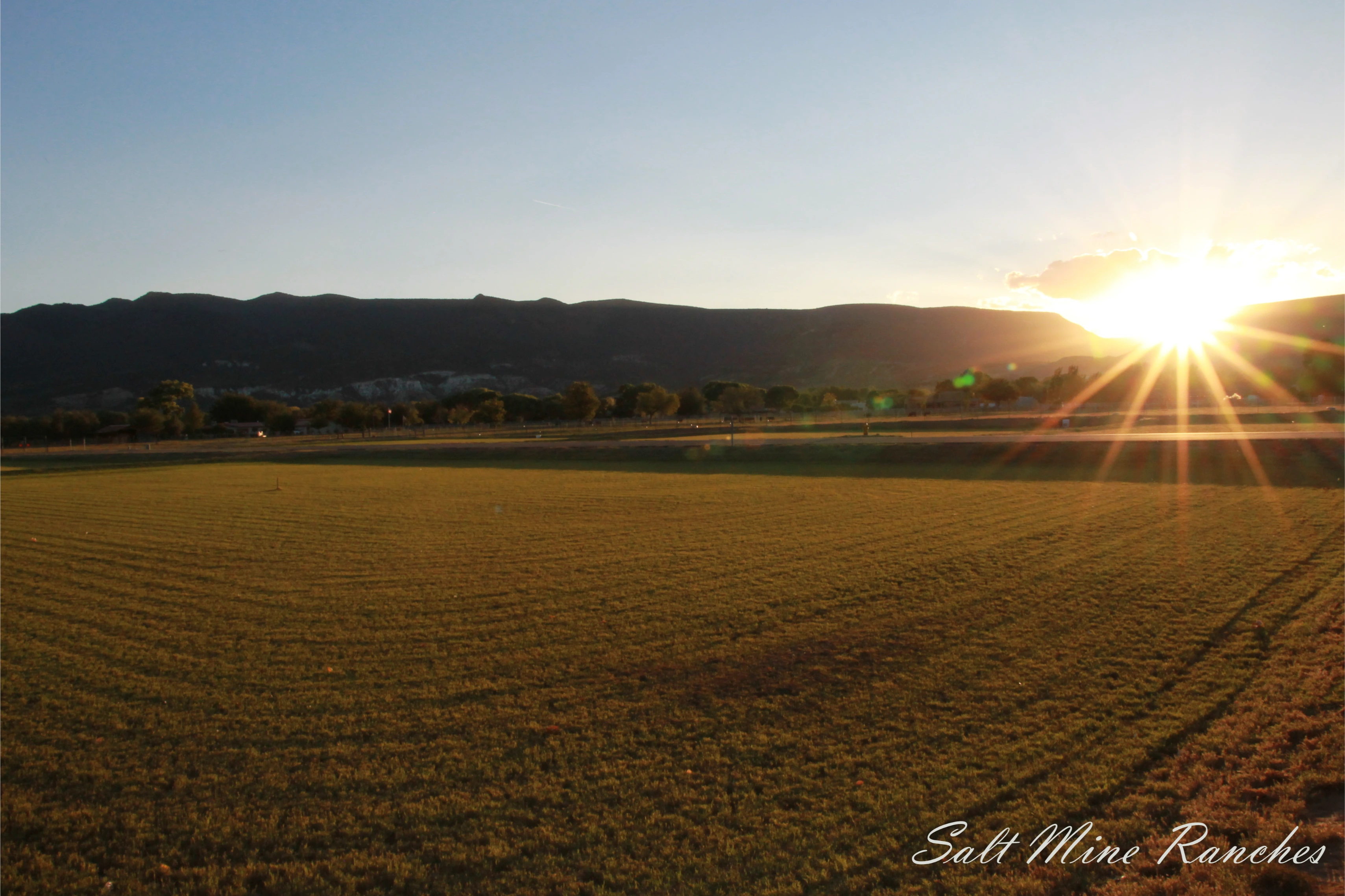 Ground view of saltmine ranches with grass, trees and mountains