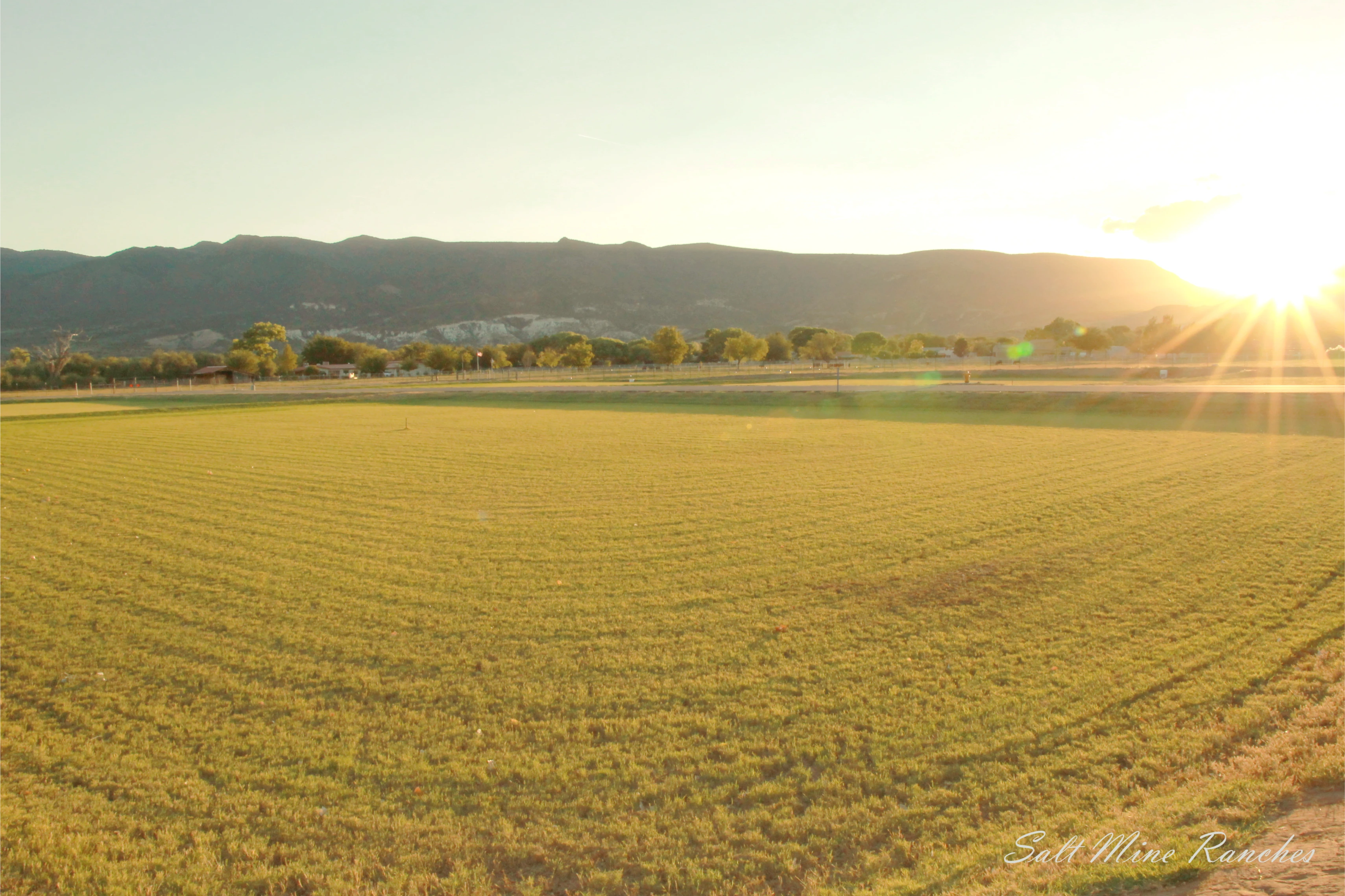 Ground view of saltmine ranches with grass and mountains