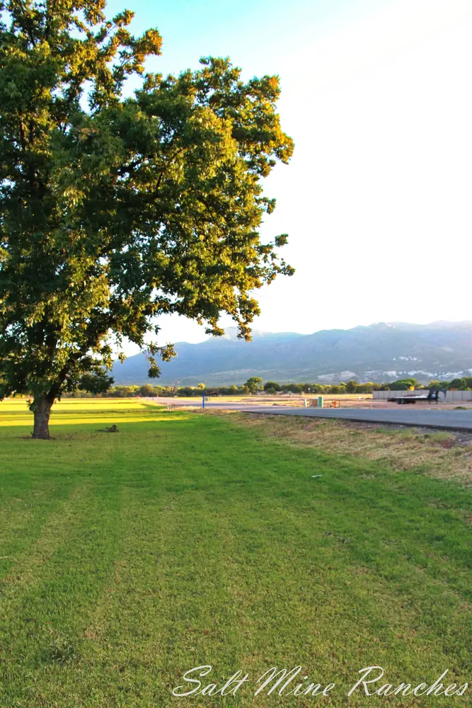 Salt Mine Ranch photo 3